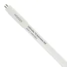 Noxion LED Buis T5 Avant Extreme (HF) High Output 26W 3900lm - 865 Daglicht | 145cm - Vervangt 49W